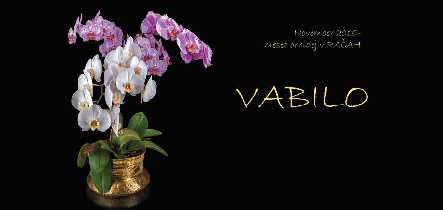 Vabilo Moja dežela in razstava orhidej 1.jpg